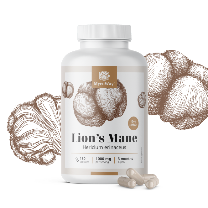 Coama leului 1000 mg – extract 5:1