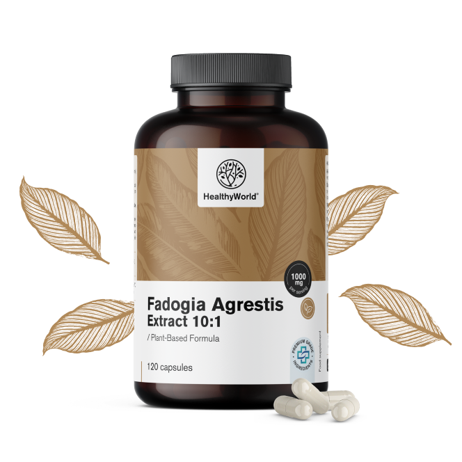 Fadogia Agrestis 1000 mg