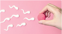 Când sunt cel mai fertilă?