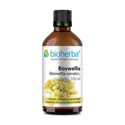 Tinctura de Boswellia.