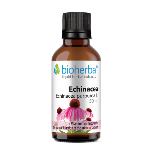Tinctură de Echinaceea.