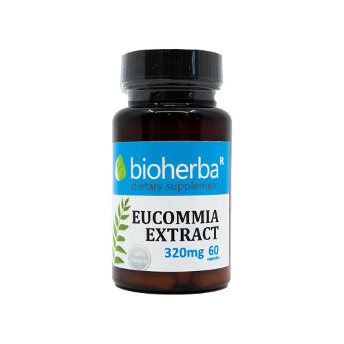Extract din Eucommia 320 mg, 60 de capsule