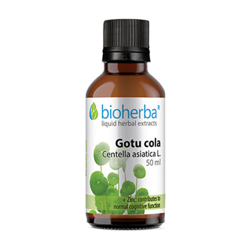 Tinctura de Gotu kola.