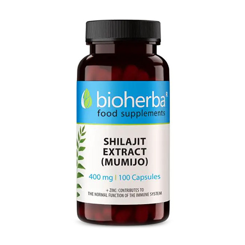Shilajit (Mumie)