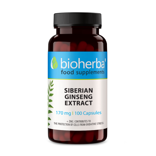 Ginseng siberian în capsule.