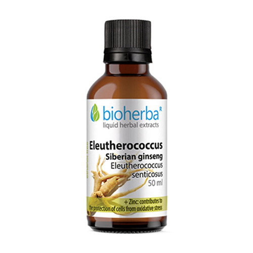 Tinctura Ginseng Siberian.