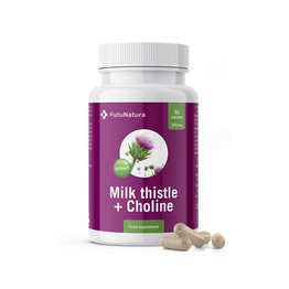 Armurariu  (silimarină) + colină, detoxifiere hepatică, 90 de capsule