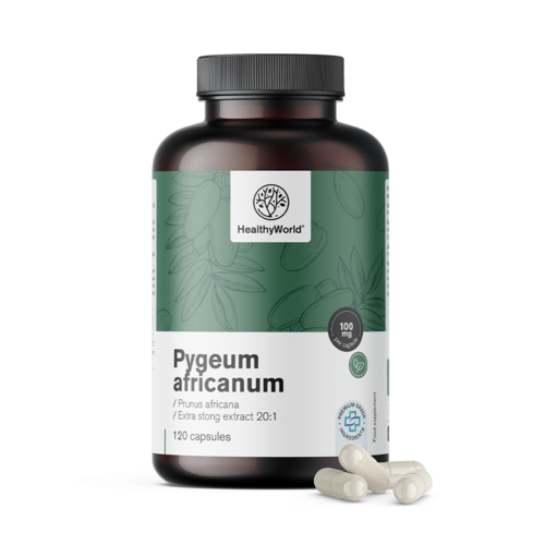 Pygeum – extract de prune africane, 120 de capsule