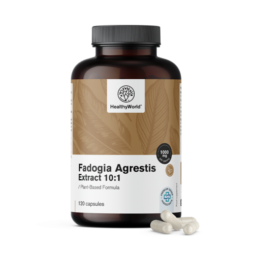 Fadogia Agrestis 1000 mg în capsule