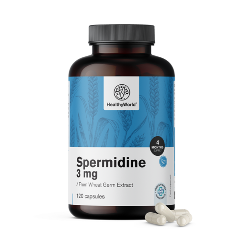 Spermidin 3 mg - din extract de germeni de grâu