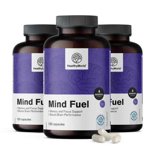 3x Mind Fuel – memorie și concentrare, total 360 de capsule