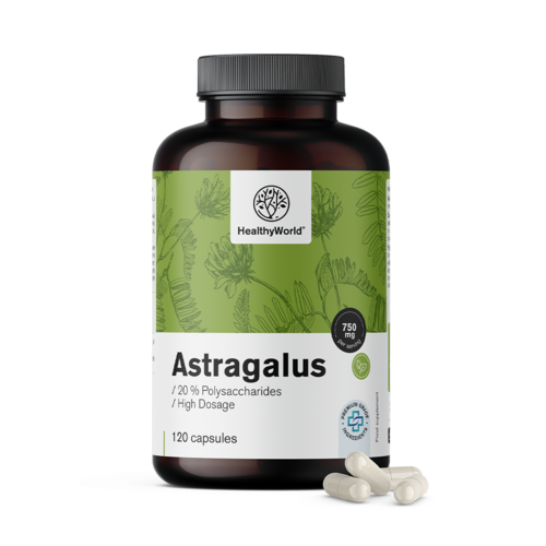 Astragalus – extract, 120 capsule