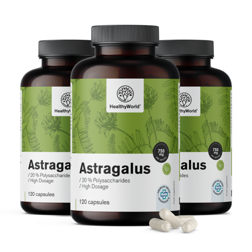 3x Astragalus – extract, total 360 de capsule