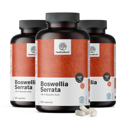 3x Boswellia (Boswellia serrata) – 85% acizi boswellici, total 1080 de capsule
