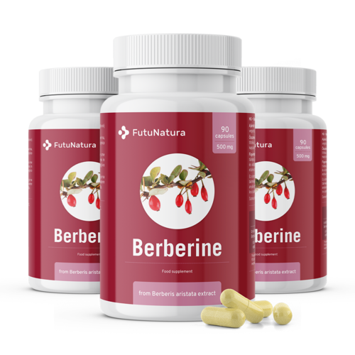 Berberin 500 mg  iz izvlečka Berberis aristata