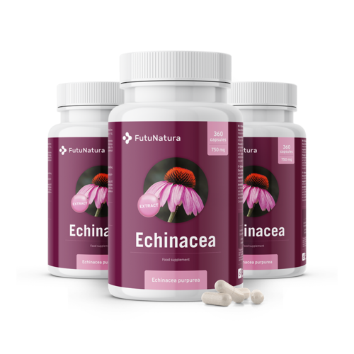 3x Echinacea purpurea - extract 10:1, total 1080 de capsule