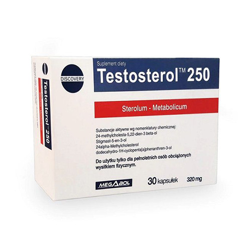  Testosterol steroli