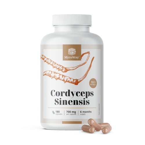 Cordyceps sinensis 1400 mg – extract 10:1, 180 de capsule