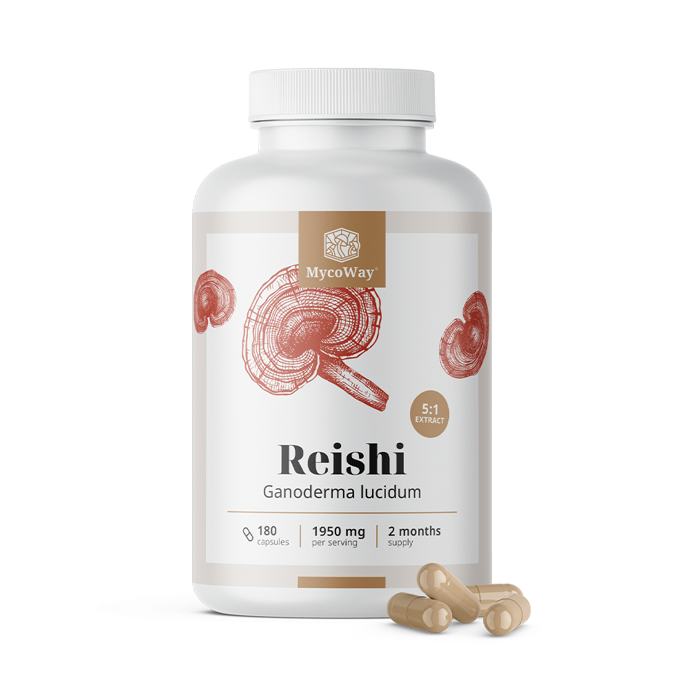 Reishi 1950 mg – extract 5:1