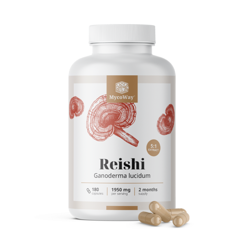 Reishi 1950 mg – extract 5:1, 180 de capsule
