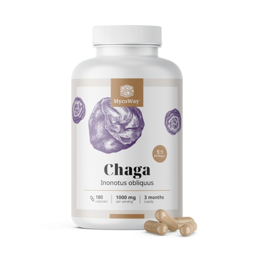 Chaga 1000 mg – extract 5:1, 180 de capsule