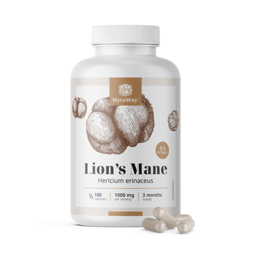 Coama leului 1000 mg – extract 5:1, 180 de capsule