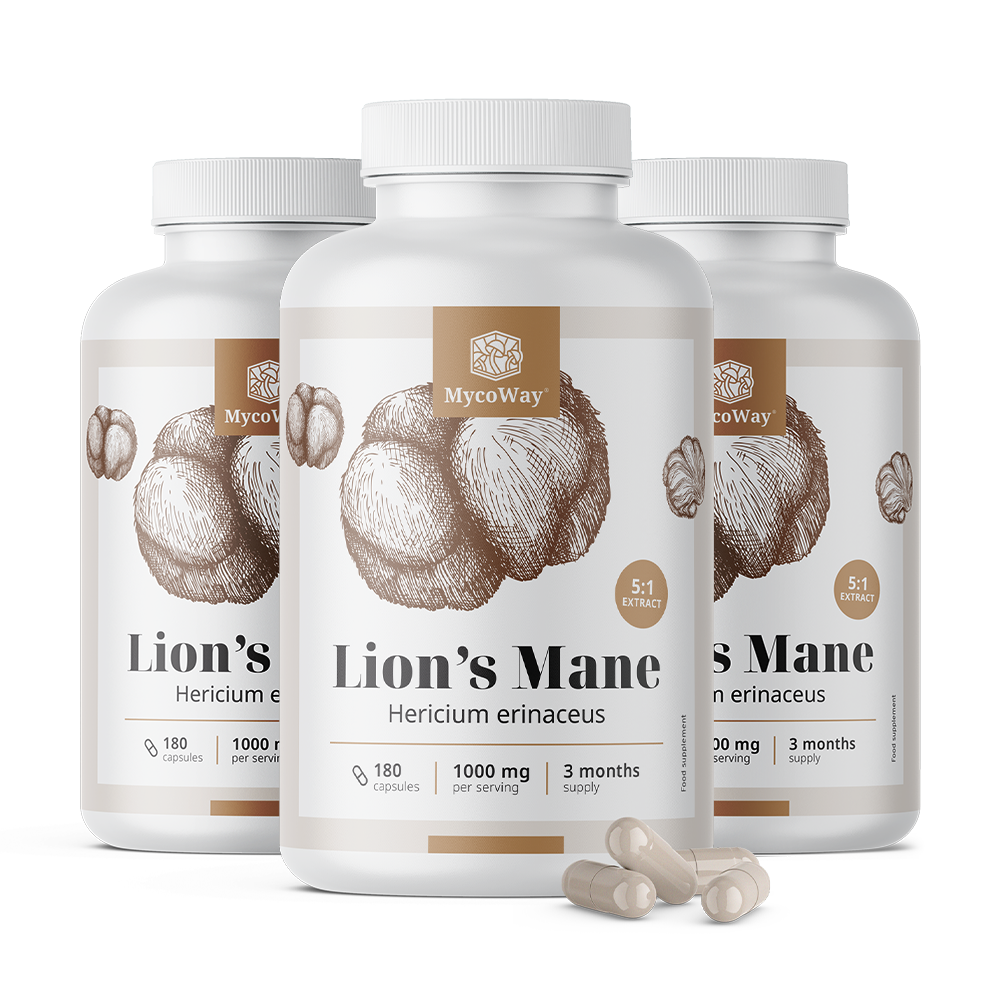 Coama leului 1000 mg – extract 5:1
