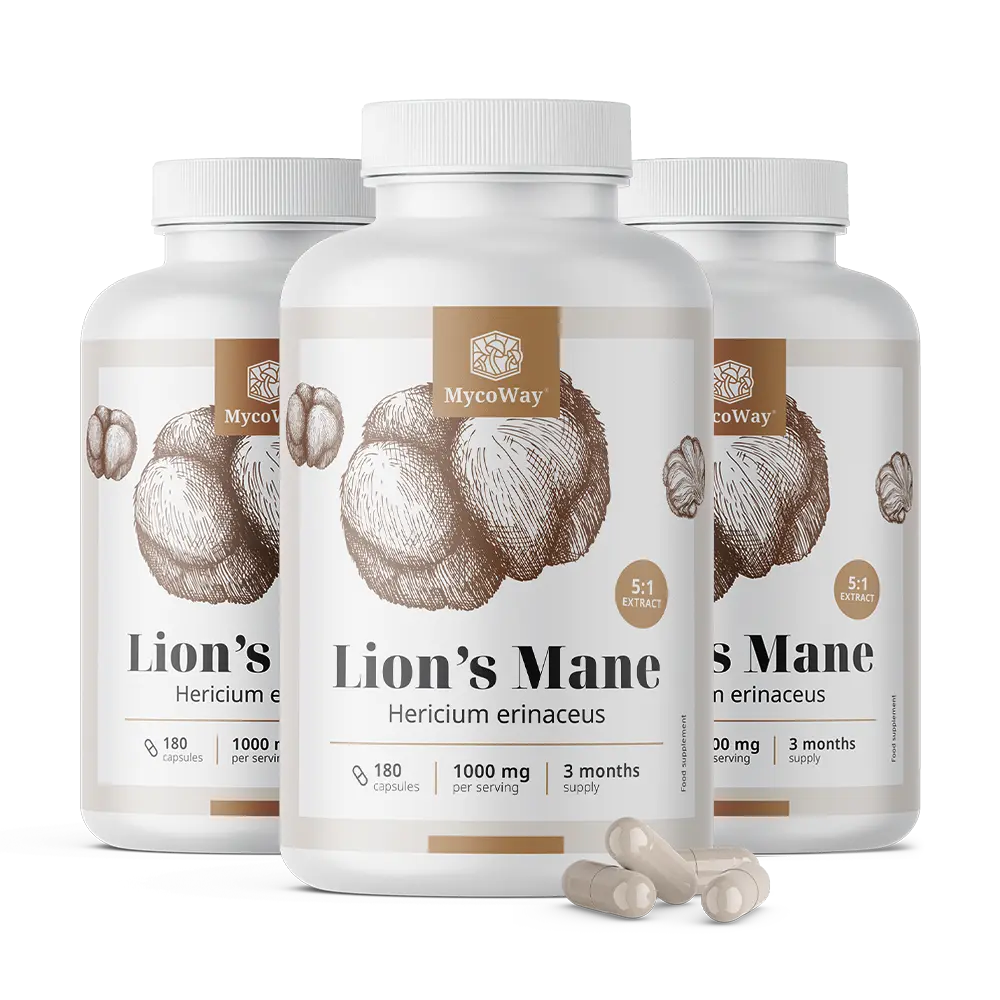 Coama leului 1000 mg – extract 5:1
