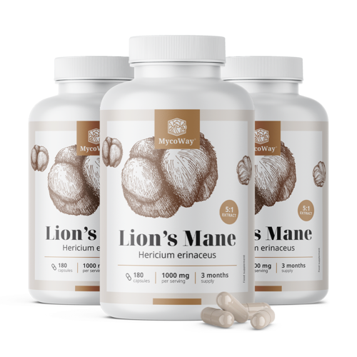 3x Coama leului 1000 mg - extract 5:1, total 540 de capsule