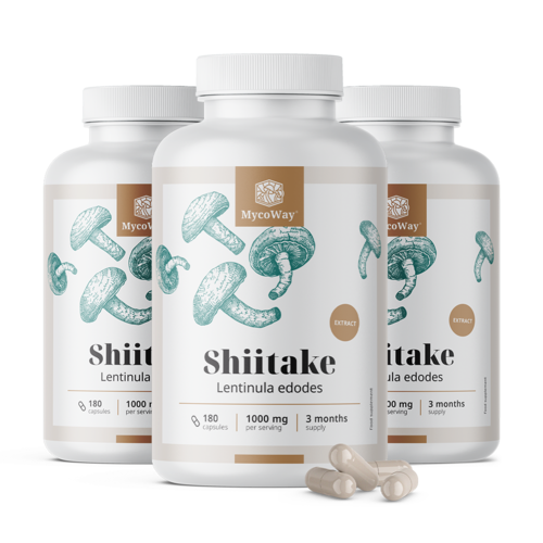 3x Shiitake 1000 mg – extract, total 540 de capsule