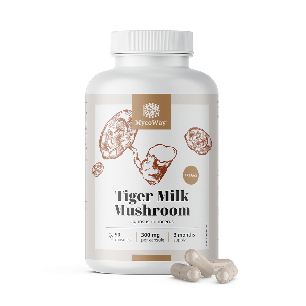 Extract de ciuperca Lignosus rhinocerus