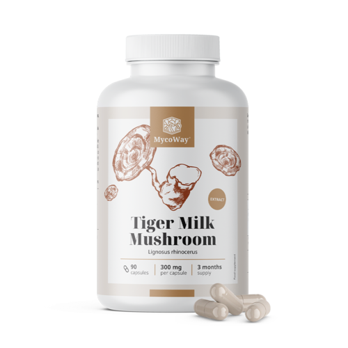 Tiger Milk 300 mg – extract din ciuperca Lignosus rhinocerus, 90 de capsule