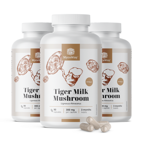 3x Tiger Milk 300 mg – extract din ciuperca Lignosus rhinocerus, total 270 de capsule