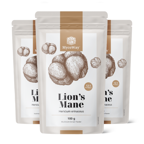 3x Coama leului – extract 12:1, total 300 g