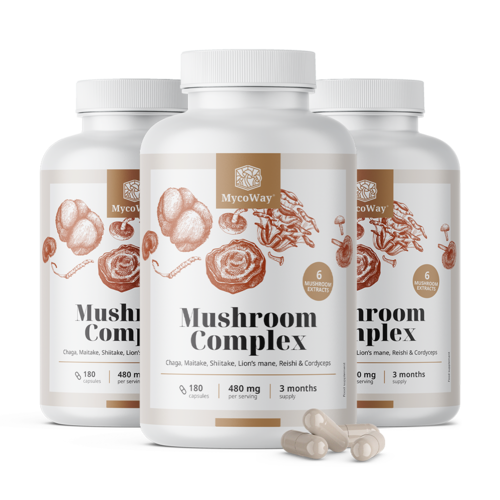 3x Complex de ciuperci, total 540 de capsule