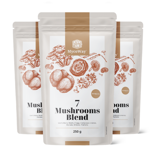 3x Amestec de extracte din șapte ciuperci sub formă de pulbere, total 750 g