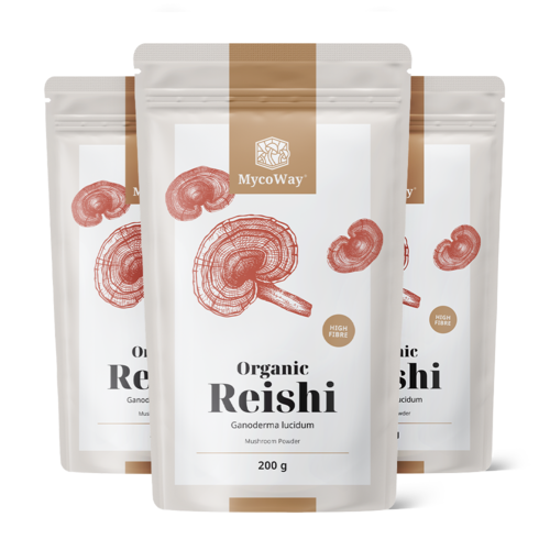 3x BIO Reishi pulbere, total 600 g