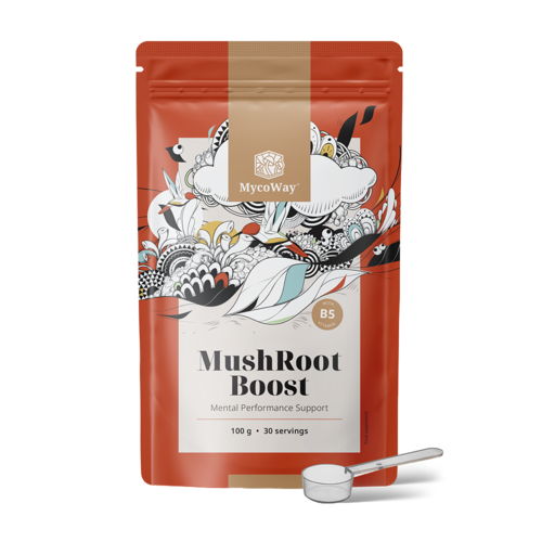 MushRoot Boost - băutură pentru performanțe mintale, 100 g