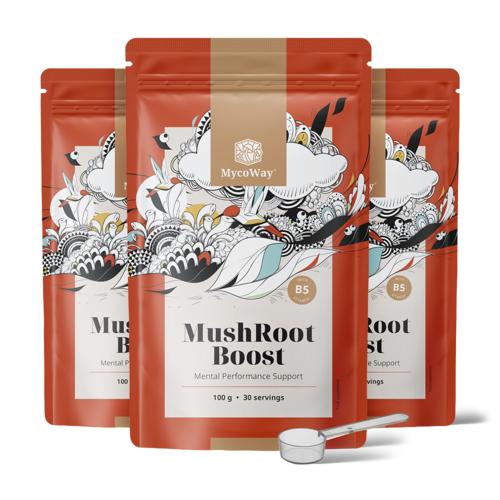 3x MushRoot Boost - băutură pentru performanțe mintale, total 300 g