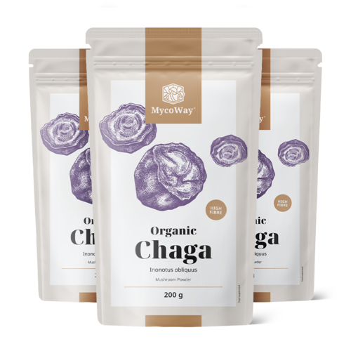 3x BIO Chaga pulbere, total 600 g