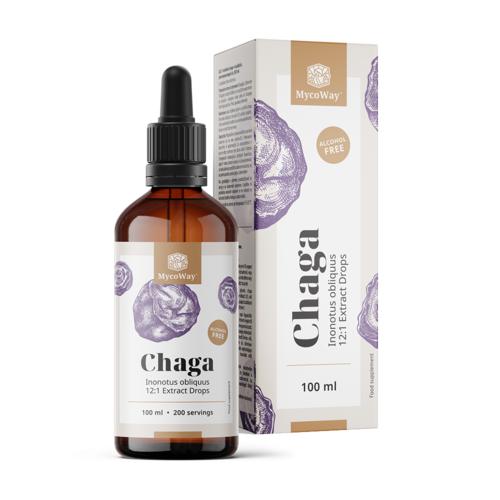 Chaga – extract în picături, 100 ml