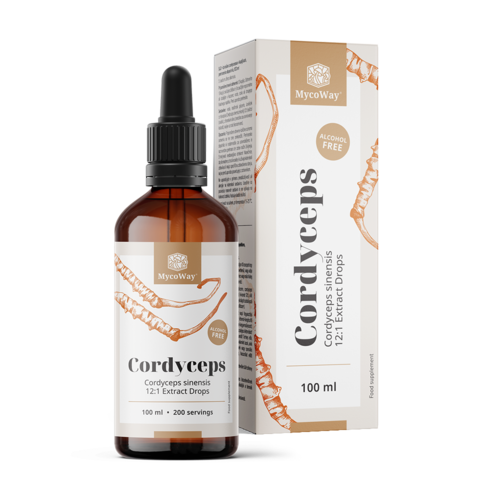 Cordyceps – extract în picături, 100 ml